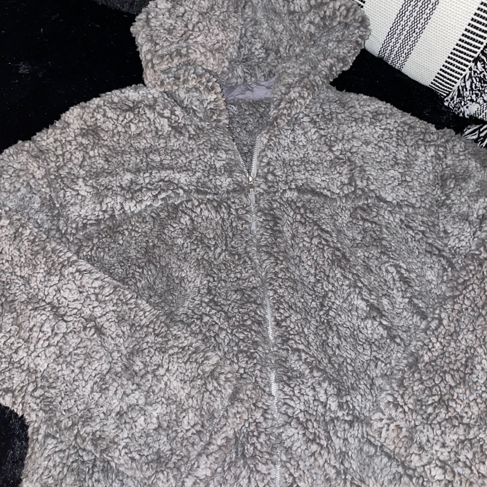 Fashion nova teddy